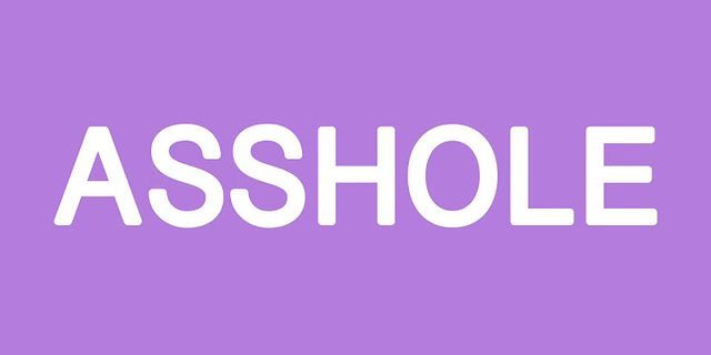 a asshole là gì - Nghĩa của từ a asshole