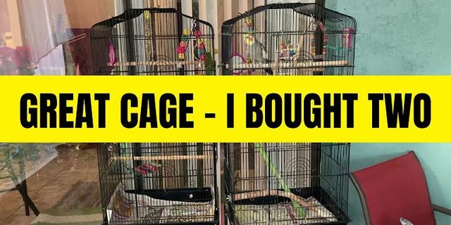 a cage là gì - Nghĩa của từ a cage