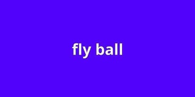 a fly ball là gì - Nghĩa của từ a fly ball