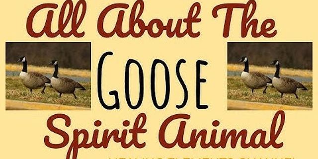 a goose là gì - Nghĩa của từ a goose