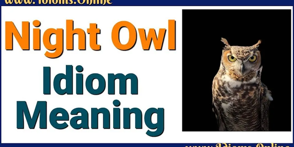 a night owl là gì - Nghĩa của từ a night owl
