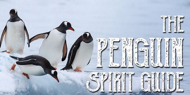 a penguin là gì - Nghĩa của từ a penguin