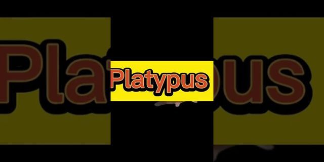 a platypus là gì - Nghĩa của từ a platypus