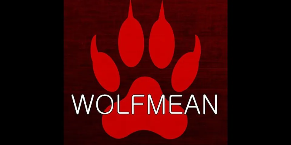a wolf là gì - Nghĩa của từ a wolf
