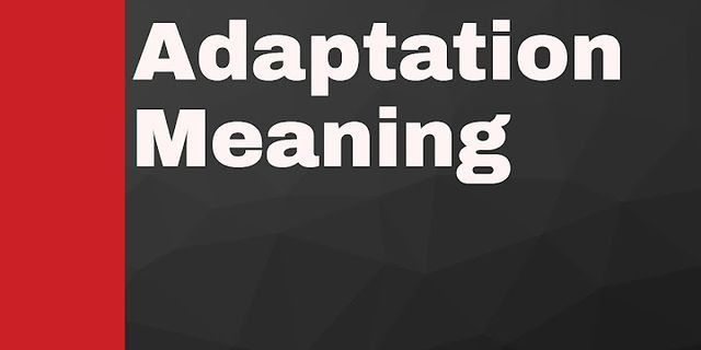 adaptation là gì - Nghĩa của từ adaptation