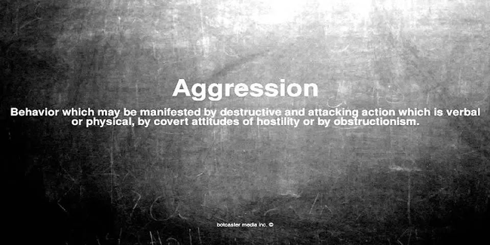 aggressor là gì - Nghĩa của từ aggressor
