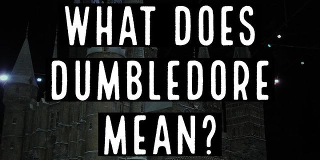 albus dumbledore là gì - Nghĩa của từ albus dumbledore