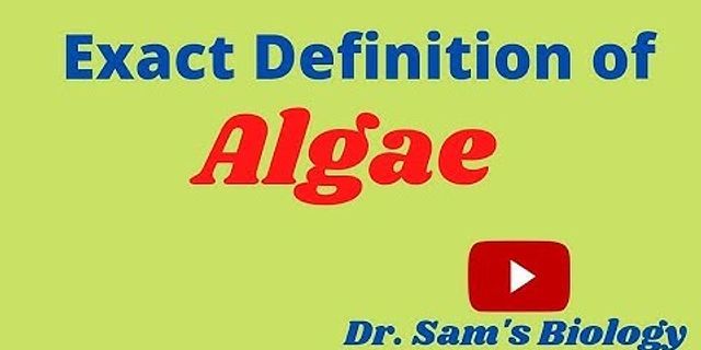 algae là gì - Nghĩa của từ algae