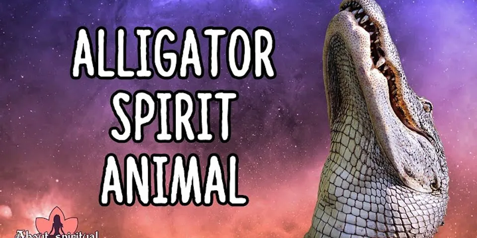 alligator là gì - Nghĩa của từ alligator