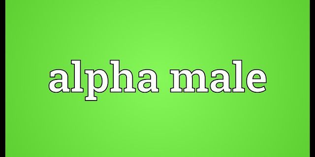 alpha males là gì - Nghĩa của từ alpha males