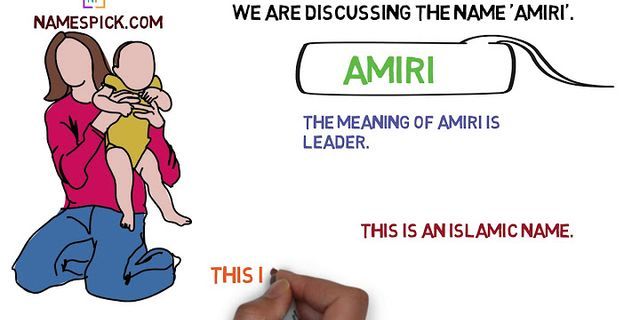 amiri là gì - Nghĩa của từ amiri