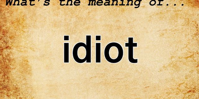an absolute idiot là gì - Nghĩa của từ an absolute idiot