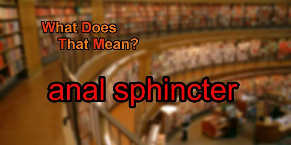 anal sphincter là gì - Nghĩa của từ anal sphincter