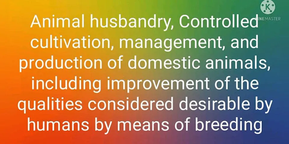 animal husbandry là gì - Nghĩa của từ animal husbandry