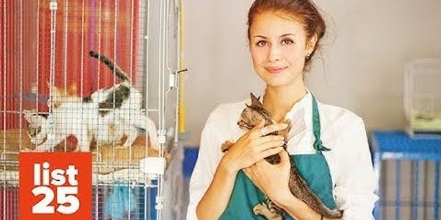 animal shelter là gì - Nghĩa của từ animal shelter
