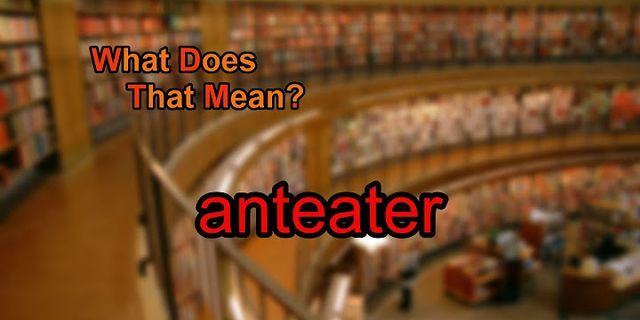 anteaters là gì - Nghĩa của từ anteaters