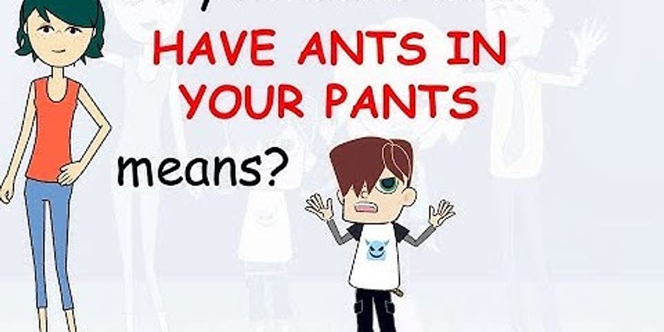 ants pants là gì - Nghĩa của từ ants pants