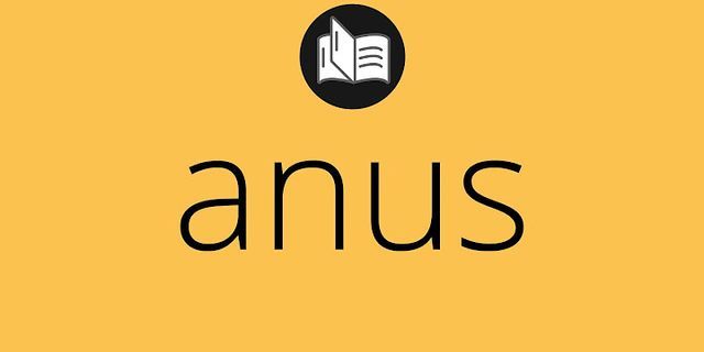 anus là gì - Nghĩa của từ anus