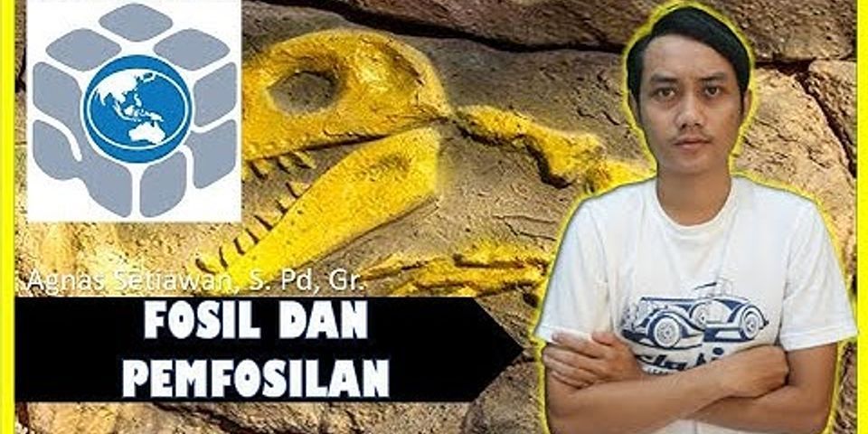 Apa yang dimaksud fosil dan jelaskan kegunaannya?