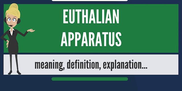 apparatus là gì - Nghĩa của từ apparatus