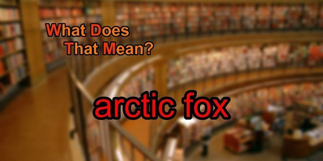 arctic fox là gì - Nghĩa của từ arctic fox