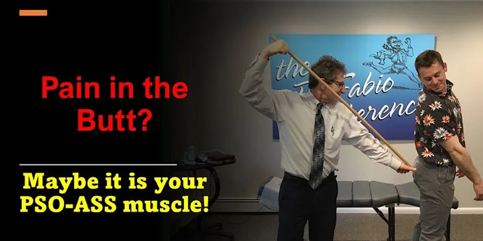 ass muscle là gì - Nghĩa của từ ass muscle