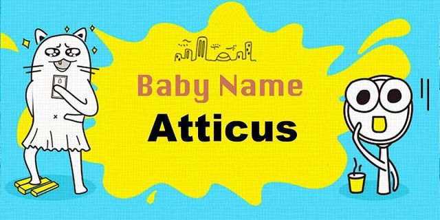atticus là gì - Nghĩa của từ atticus