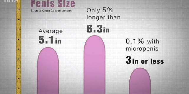 average penis size là gì - Nghĩa của từ average penis size
