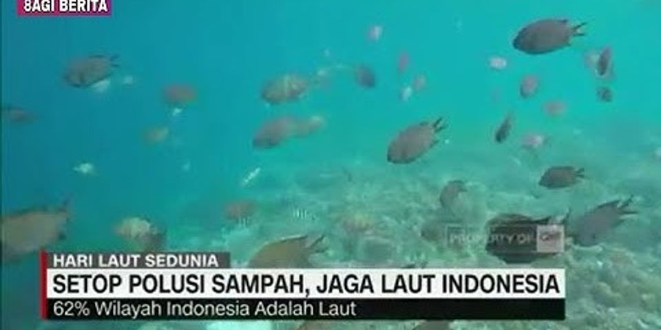 Bagaimana cara menjaga agar perairan laut Indonesia tetap lestari