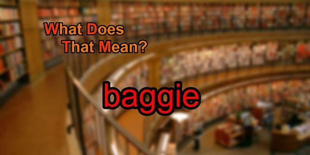 baggie là gì - Nghĩa của từ baggie