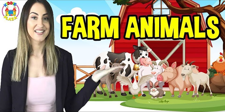 barn animals là gì - Nghĩa của từ barn animals
