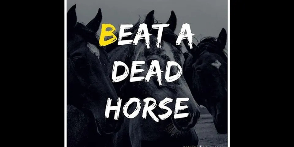 beat a dead horse là gì - Nghĩa của từ beat a dead horse