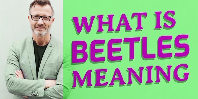 beetles là gì - Nghĩa của từ beetles