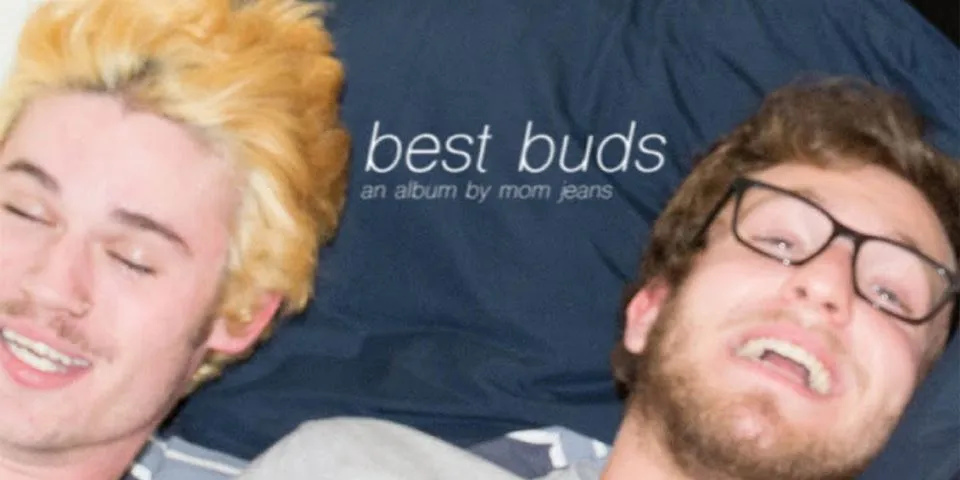 best bud là gì - Nghĩa của từ best bud