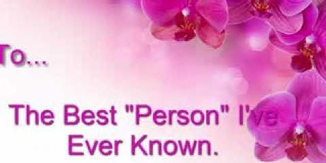 best person ever là gì - Nghĩa của từ best person ever