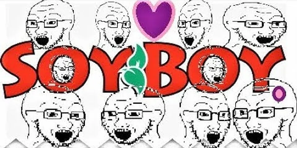 beta soy boy là gì - Nghĩa của từ beta soy boy