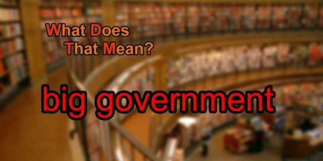 big government là gì - Nghĩa của từ big government