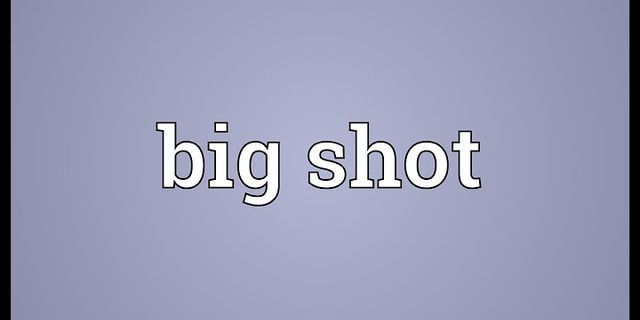 big shot là gì - Nghĩa của từ big shot