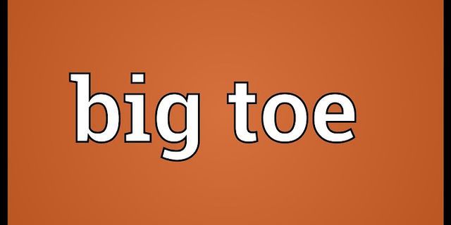 big toe là gì - Nghĩa của từ big toe