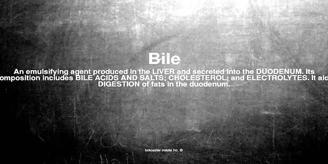 bile là gì - Nghĩa của từ bile