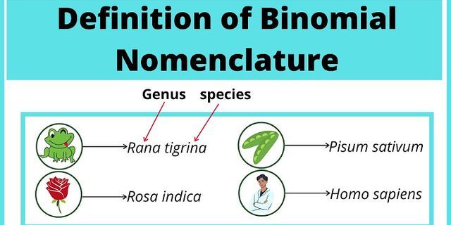 binomial nomenclature là gì - Nghĩa của từ binomial nomenclature
