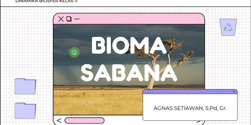 Bioma di Indonesia apa saja?