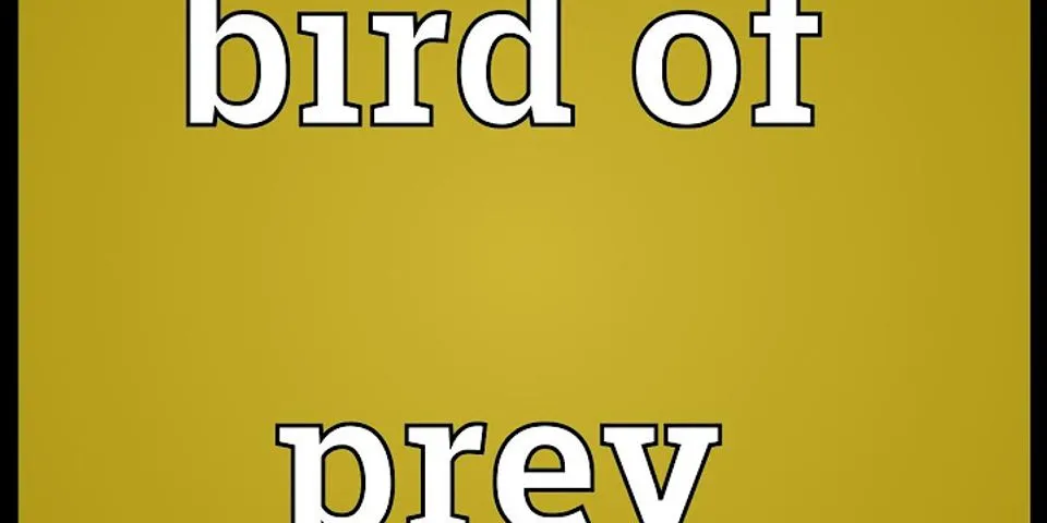 bird of prey là gì - Nghĩa của từ bird of prey