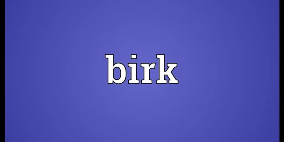 birk là gì - Nghĩa của từ birk