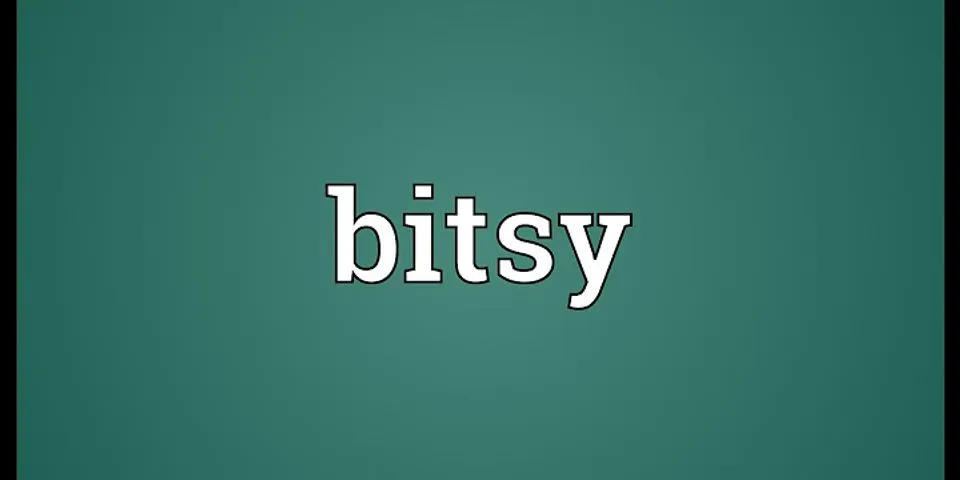 bitsy là gì - Nghĩa của từ bitsy