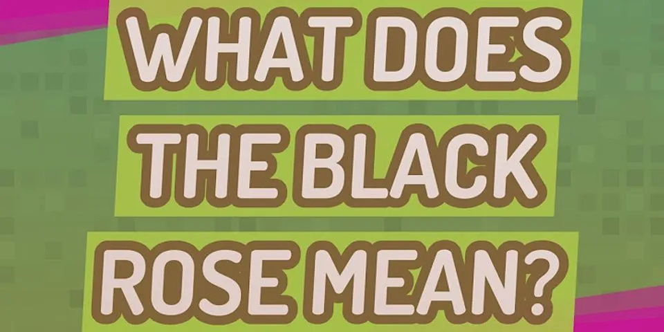 black rose là gì - Nghĩa của từ black rose