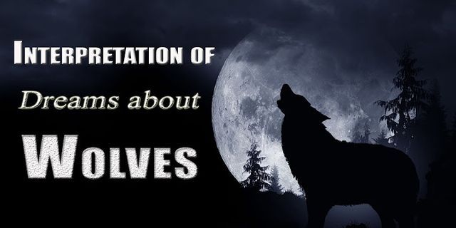black wolf là gì - Nghĩa của từ black wolf