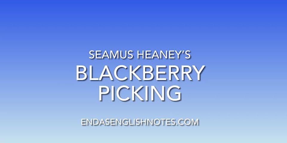 blackberry picking là gì - Nghĩa của từ blackberry picking