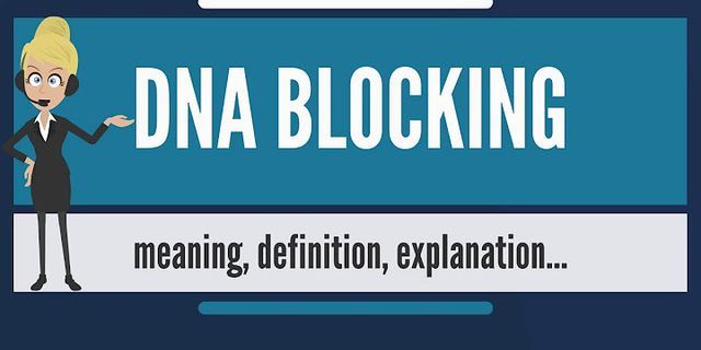 blocking là gì - Nghĩa của từ blocking