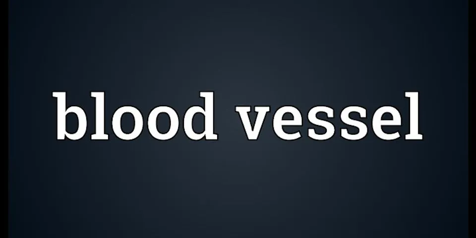 blood vessel là gì - Nghĩa của từ blood vessel